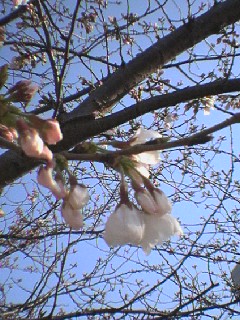 080328_1615~01.jpg