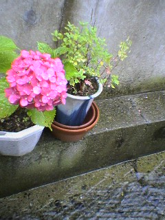 080622_0636~01.jpg