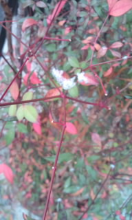 CA3D02340001.jpg