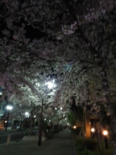 170412_2043~02.jpg